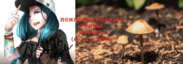 прущая мука Богданович