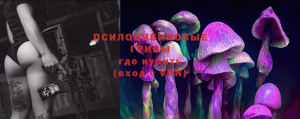 МДМА Богородицк